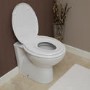 GRADE A1 - Toilet Training Seat 