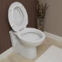 GRADE A1 - Toilet Training Seat 