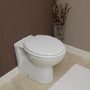 GRADE A1 - Toilet Training Seat 