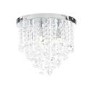 Ohio Iris Medium Clear Crystal Flush Ceiling Light 