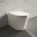 BeBa_24912 Back to Wall Smart Bidet Japanese Toilet - Purificare