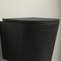 BeBa_25862 Verona Wall Hung Soft Close Toilet Seat - Matt Black
