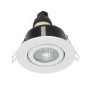 IP65 White Tiltable Down Light