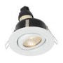 IP65 White Tiltable Down Light