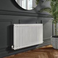 Nambi 2 Column Traditional Radiator - 600mm x 1008mm - Gloss White Nambi 2 Column Traditional Radiator - 600mm x 1008mm - Gloss White