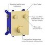 Grade A1 - Gold Push Button Concealed Mixer Shower with Round Head - Vance