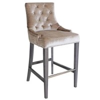 Champagne Velvet Bar Stool - Arianna