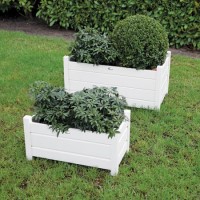 Set of 2 Cream Rectangular Planters - Fallen Fruits 