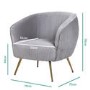 Silver Grey Velvet Armchair with Pleated Detail - Cheska