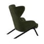 Dark Green Velvet Wingback Accent Chair - Clarence