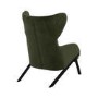 Dark Green Velvet Wingback Accent Chair - Clarence