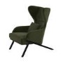 Dark Green Velvet Wingback Accent Chair - Clarence