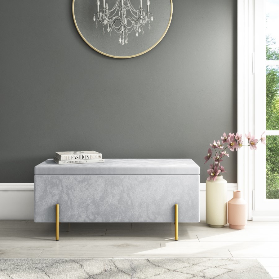 Darcey Velvet Storage Box in Silver Grey with Gold Leg