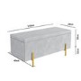 Darcey Velvet Storage Box in Silver Grey with Gold Leg