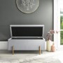 Darcey Velvet Storage Box in Silver Grey with Gold Leg