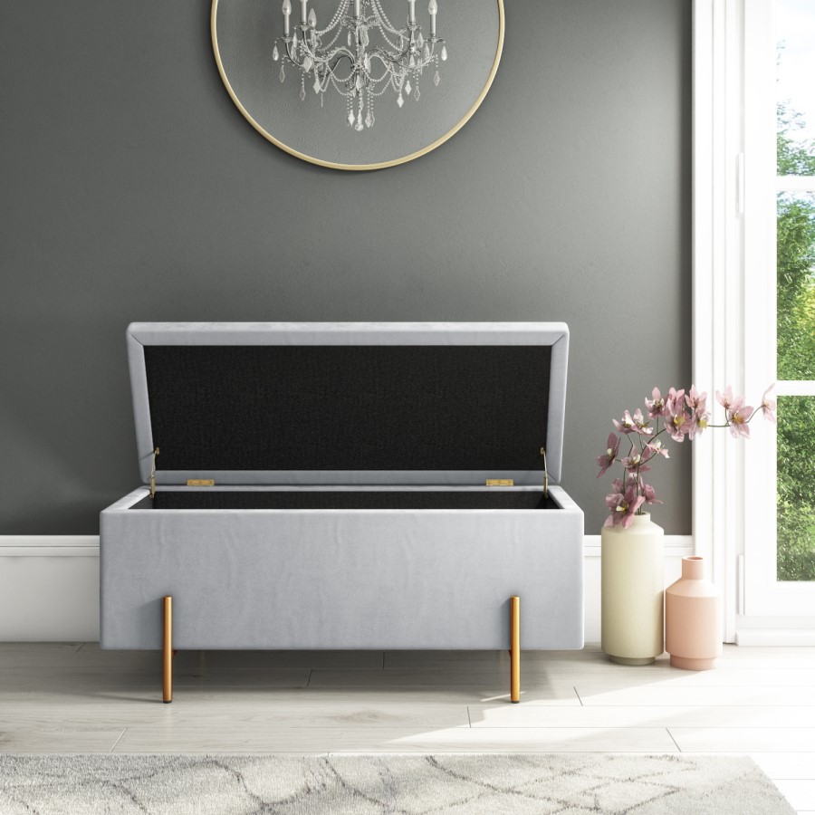 Darcey Velvet Storage Box in Silver Grey with Gold Leg