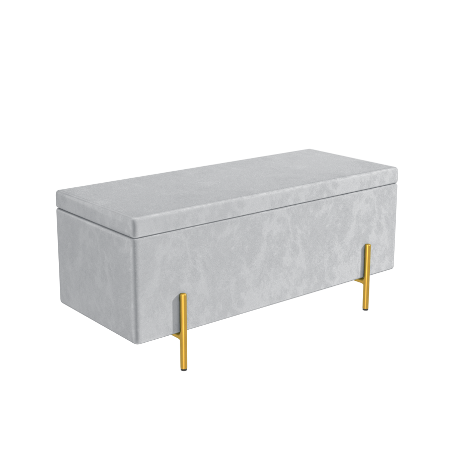 Darcey Velvet Storage Box in Silver Grey with Gold Leg