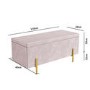 Darcey Velvet Storage Bench in Baby Pink with Gold Leg