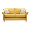 Darwin 2 Seater Sofa in Mustard Fabric