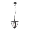 Outdoor Pendant Light in Grey with Chain - Seraph