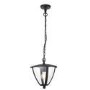 Outdoor Pendant Light in Grey with Chain - Seraph