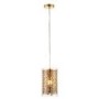 Pendant Light with Brass Plate & Clear Glass - Lacy