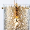 Pendant Light with Brass Plate &amp; Clear Glass - Lacy
