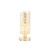 Lacy Leaf Design Antique Brass Touch Table Lamp with Clear Glass Finish