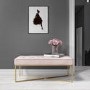 GRADE A1 - Pink Velvet Bedroom Bench with Gold Legs - Esme