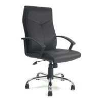 Eliza Tinsley Michigan Leather Faced Executive Chair