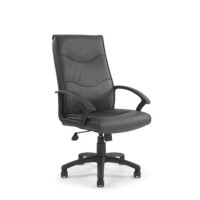 Eliza Tinsley Madison Leather Faced Office Chair - black