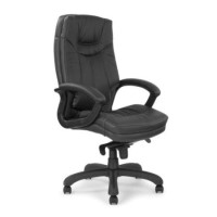 Eliza Tinsley Syracuse Leather Faced Executive Chair - black