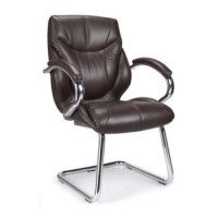 Eliza Tinsley Pennsylvania Leather Faced Visitor Chair - brown