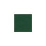 Joseph Metal Futon Bunk Bed - with green futon mattress