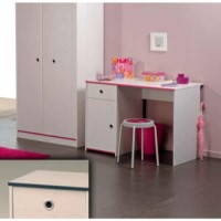 Snoopy Pink or Blue Desk