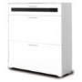 Alaska Shoe Cabinet in White - 16 Pairs