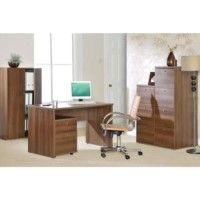 Newsam Office Desk and Filing Furniture Set