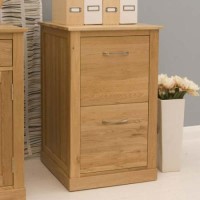 Baumhaus Mobel Solid Oak 2 Drawer Filing Cabinet