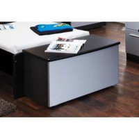 Welcome Furniture Hatherley Blanket Box in Black and Steel