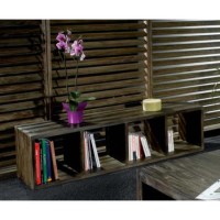 Alpes Developpement Cosmos Grey Tinted Solid Teak 4 Hole Tall Display Unit