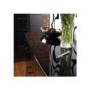 Welcome Furniture Emmeline High Gloss 4 Drawer Chest in Black