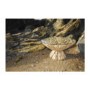 Driftwood Round Coffee Table
