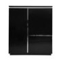 Sciae Electra High Gloss 2 Door 2 Drawer Cupboard