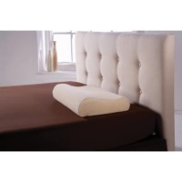 Mountrose Dreamerz Memory Foam Pillow With Terry Cover