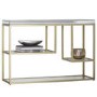 Pippard Mirrored Console Table in Champagne- Caspian House