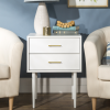 Foster White Wooden Side Table with 2 Drawers