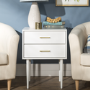 Foster White Wooden Side Table with 2 Drawers