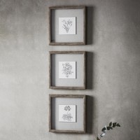 Monochrome Botanical Framed Art Trio - Caspian House