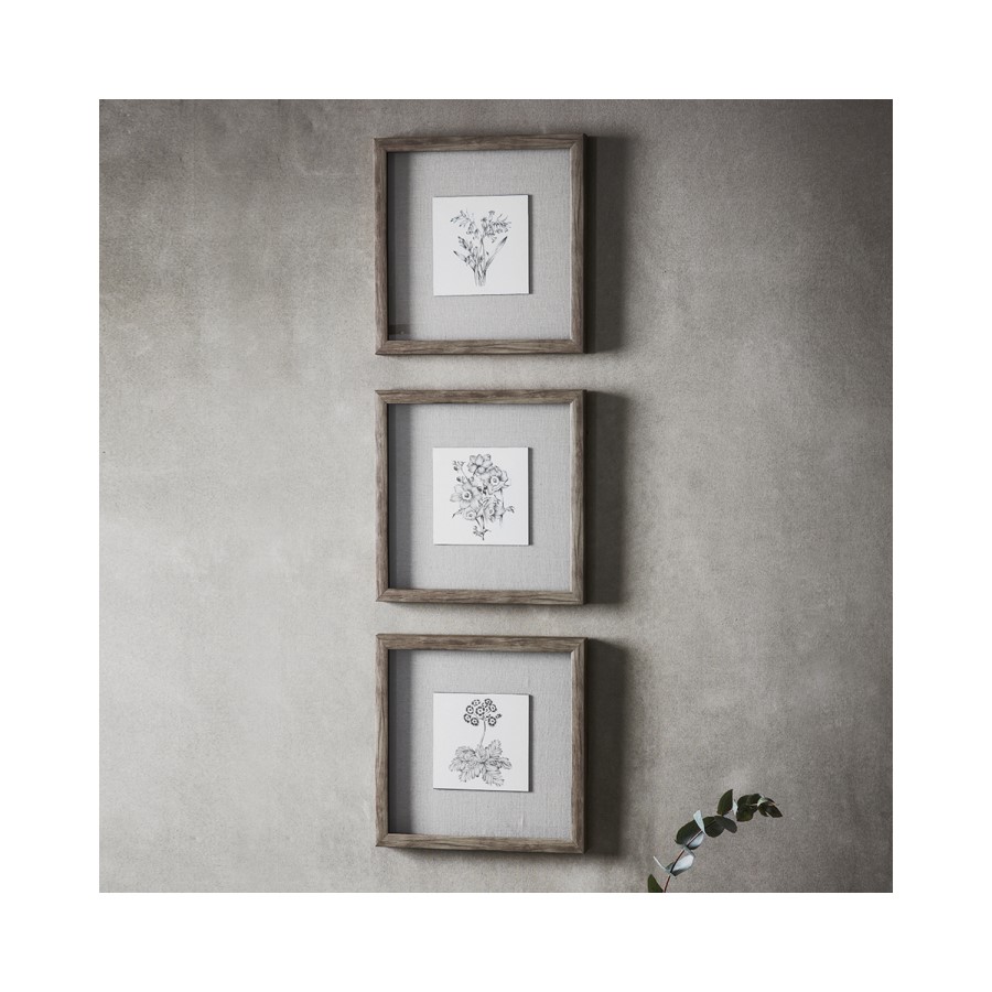Monochrome Botanical Framed Art Trio - Caspian House