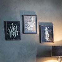 Set of 3 Botanical Framed Wall Art - Caspian House